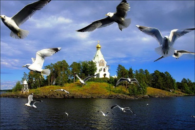 Люблю тебя, Карелия